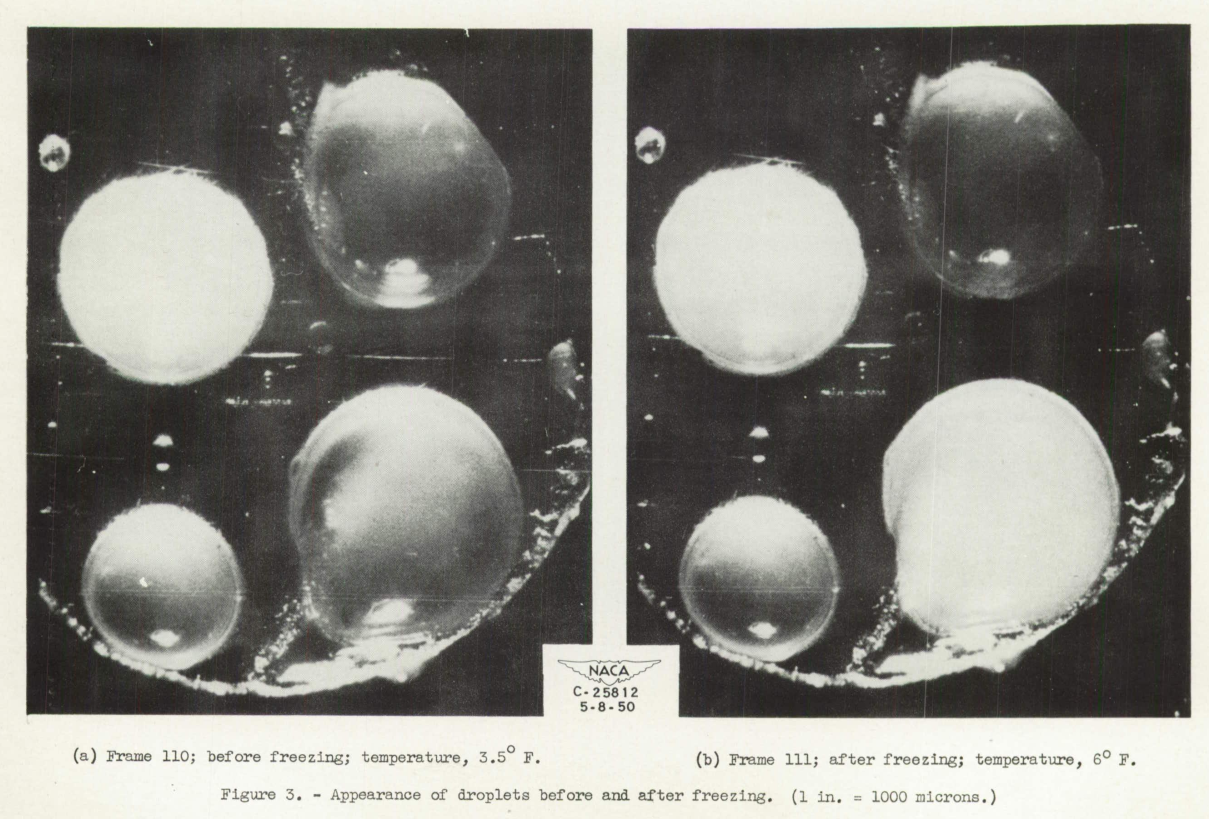 Figure 3. Appearance of droplets before and after freezing. The liquid droplets are transparent, and the frozen droplets are opaque.