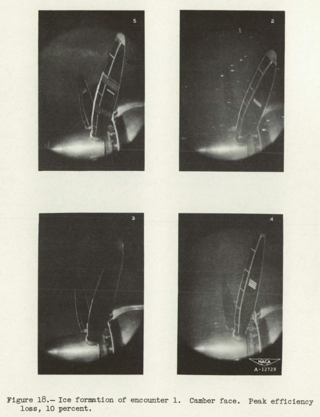 Figure 18. Ice formation of encounter 1. Camber face. Peak efficiency loss, 10 percent.