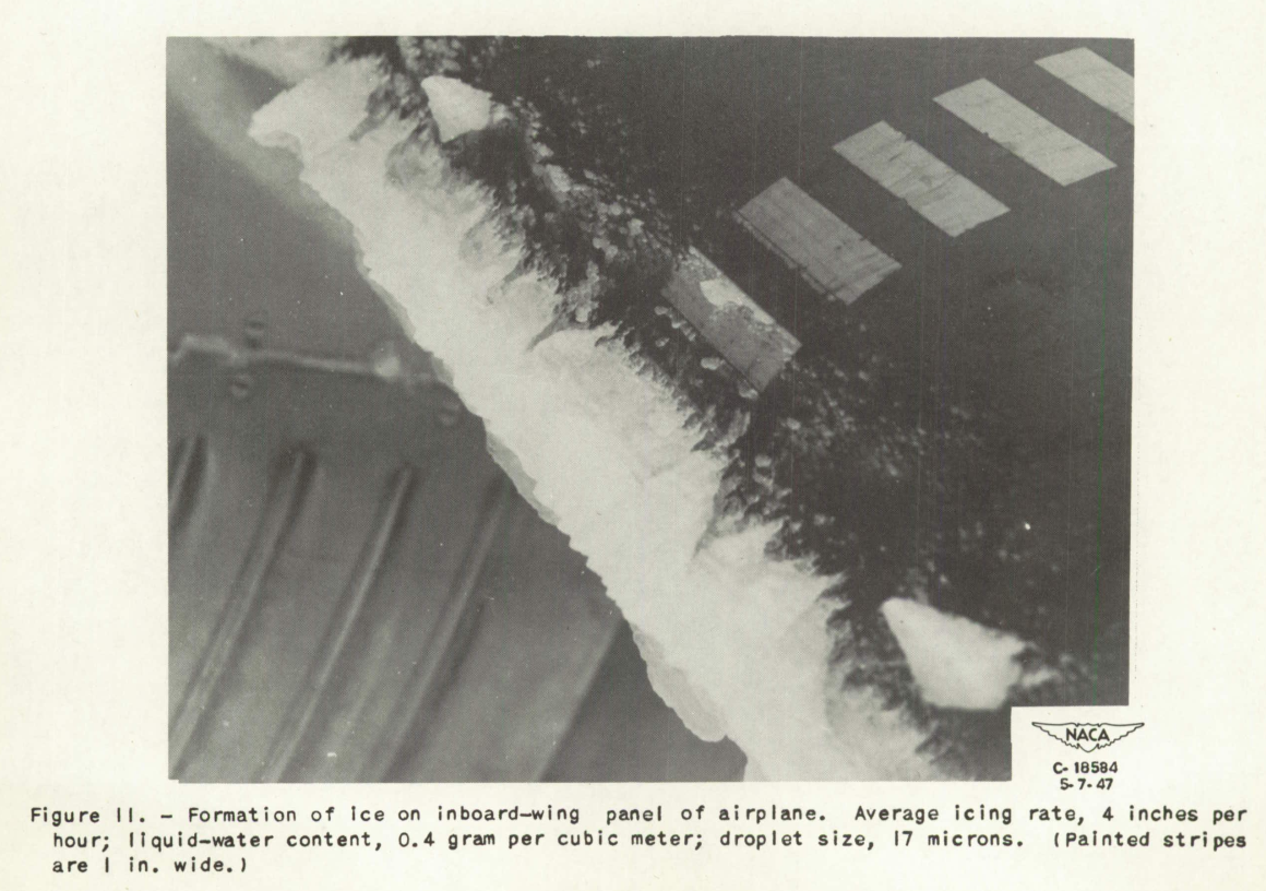 Figure 11. Formation of ice on inboard-wing panel of airplane. 
Average icing rate, 4 inches per hour; liquid-water content, 
0.4 grams per cubic meter; drop size, 17 microns. (Painted stripes are 
1 in. wide)